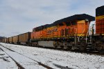 BNSF 6365 Roster shot